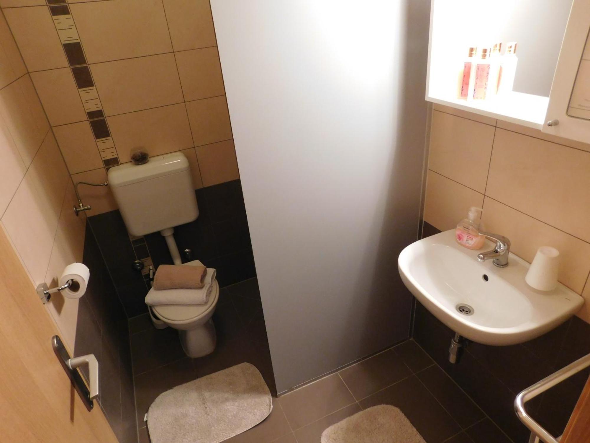 Apartments Iva Pakoštane Værelse billede
